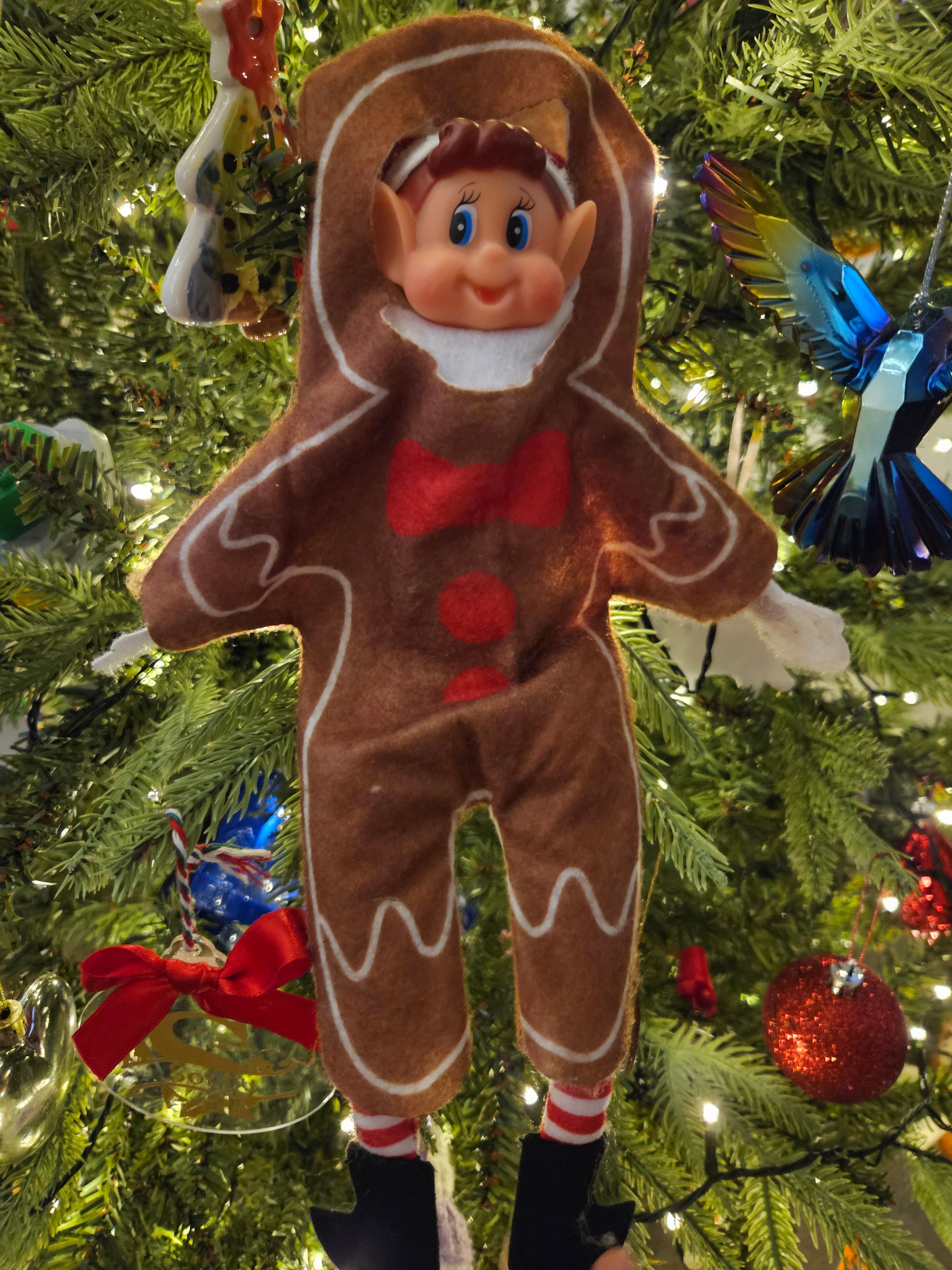 Elf gingerbread man outfit