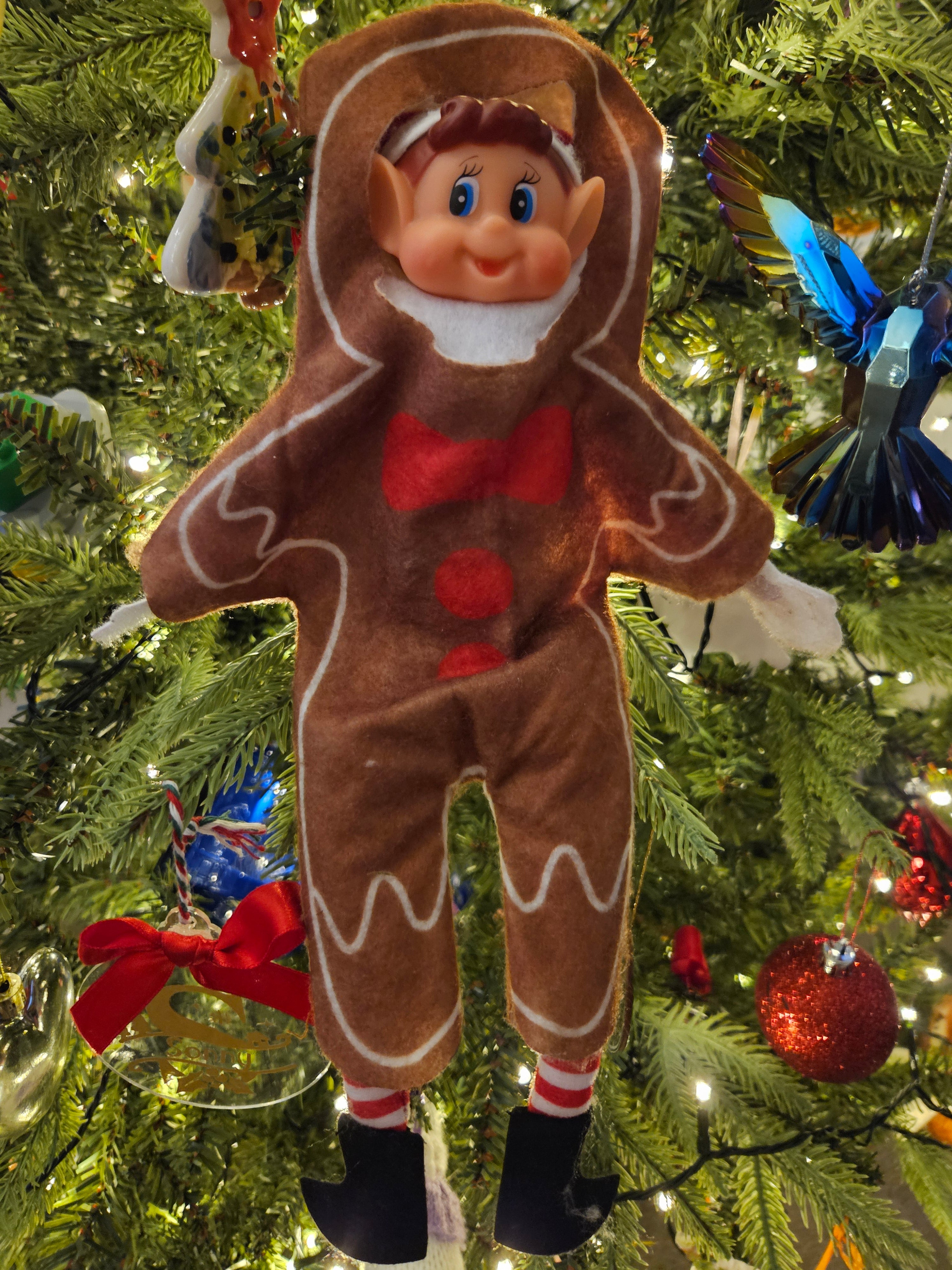 Elf hotdog outfit